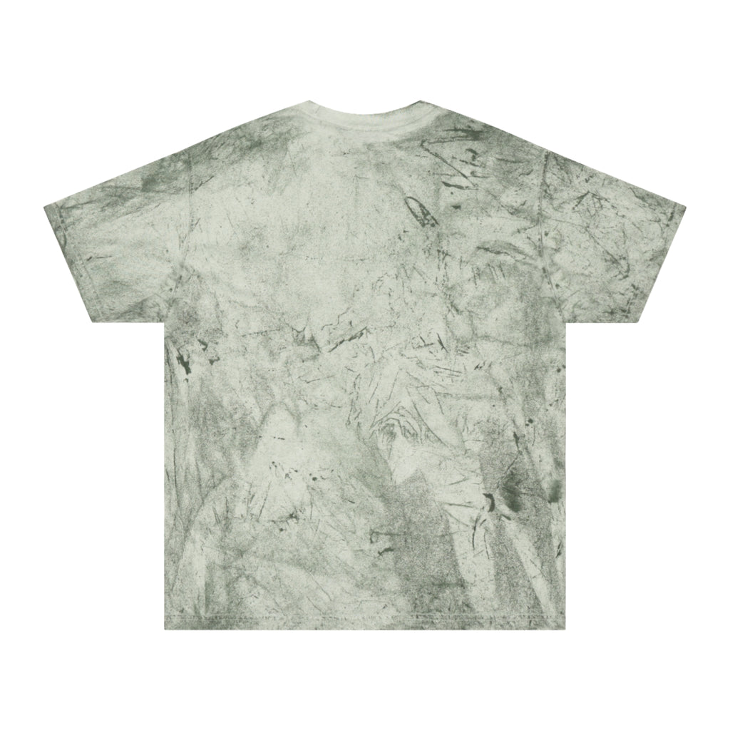 Tie-Dye Vintage Crest T-Shirt